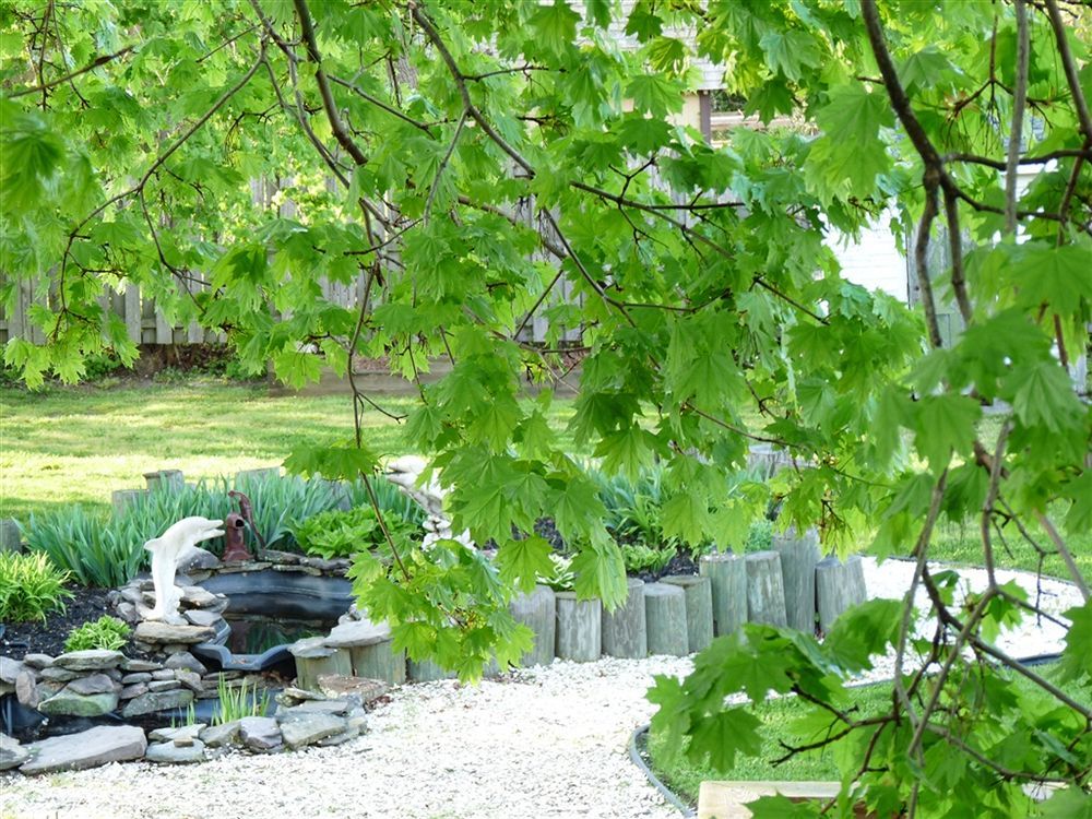 J. D. Thompson Inn Bed And Breakfast Tuckerton Luaran gambar